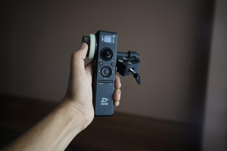 e bike controller manual