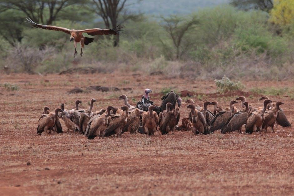 bible scavenger hunt pdf